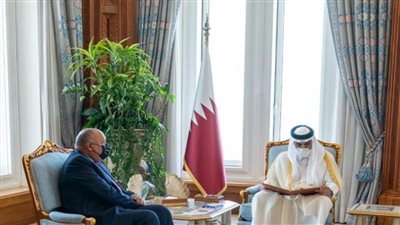 الرئيس السيسي يدعو أمير قطر لزيارة مصر في أقرب فرصة