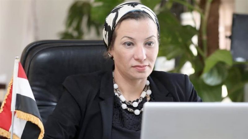 ياسمين فؤاد وزيرة