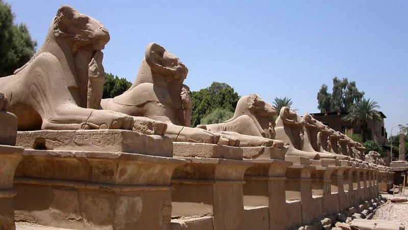 طريق الكباش