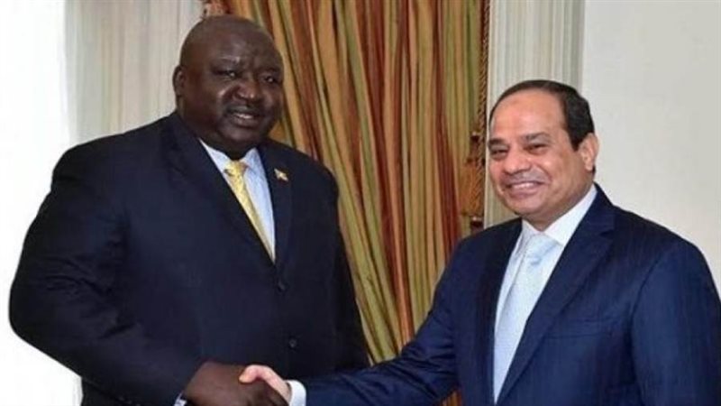 الرئيس السيسي رفقة
