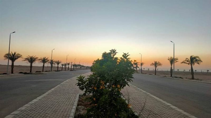 الشورى