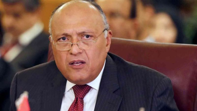 سامح شكري وزير الخارجية