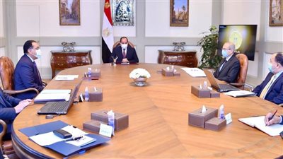 الرئيس السيسى يوجه بمواصلة خطة توصيل الغاز الطبيعي للوحدات السكنية المنزلية والمدن الجديدة