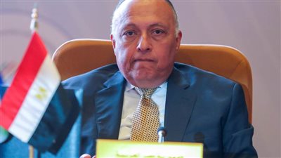 وزير الخارجية يؤكد: مصر تواصل جهودها لتثبيت وقف إطلاق النار في غزة