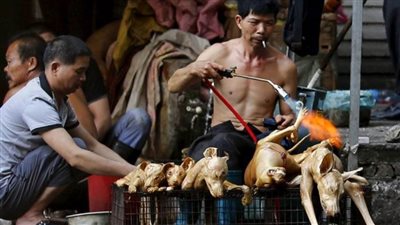 بالصور.. رسميا انطلاق مهرجان 