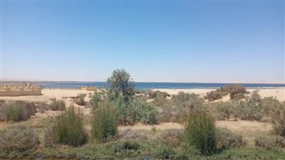 بالصور | وزيرة البيئة: تدريب الشباب وخلق فرص عمل غير تقليدية في مجال الرصد البيئي