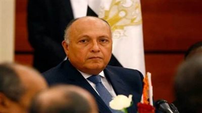 سامح شكري يغادر إلى نيويورك لحضور جلسة مجلس الأمن حول سد النهضة