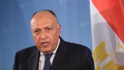 سامح شكري يجري اتصالا بوزير خارجية فيتنام