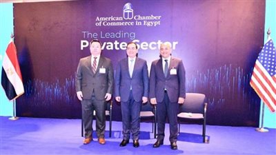 بالصور | وزير البترول: 6 مليار دولار استثمارات أجنبية مباشرة خلال 2020 رغم تحديات كورونا