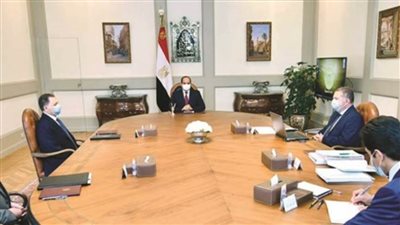 الرئيس السيسي يوجه بتحقيق أقصى عائد من أصول قطاع الأعمال 