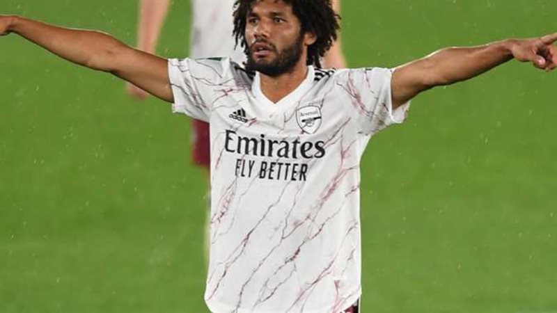 محمد النني