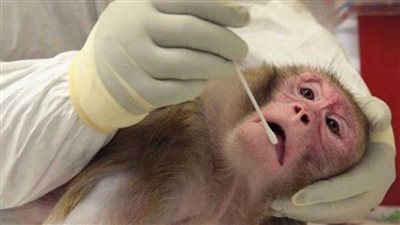 الصين تسجل أول وفاة بشرية بـ