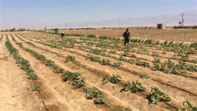 تعرف على الأوراق والمستندات اللازمة لطلب تقنين وضع اليد