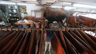 تجار الجلود متفائلون بذبائح عيد الأضحى.. الجلد البقري بـ 80 جنيها