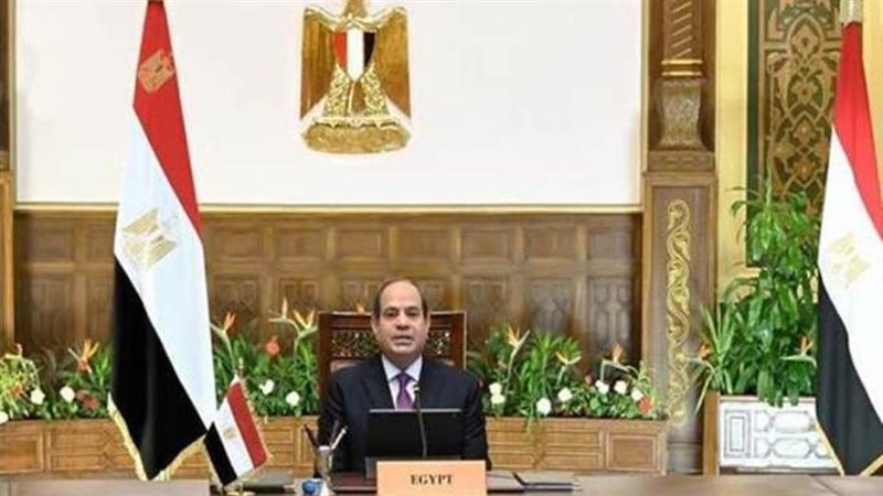 السيسي يوجه باستخدام