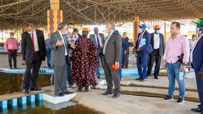 وزير الري يستقبل نظيره بدولة جنوب السودان لمناقشة التعاون المشترك (صور)