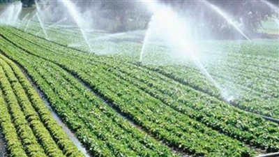 الرى تتلقى طلبات من المزارعين للتحول للرى الحديث بزمام يصل لـ95 ألف فدان