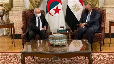 سامح شكري: اتفقنا مع الجزائر على الأرتقاء بالعلاقات بين البلدين على جميع المستويات