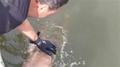 انتشال جثة فتاة العياط بعد 24 ساعة من البحث في النيل