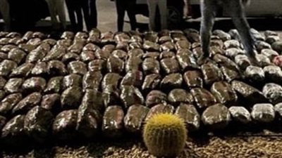 إحباط محاولة تهريب نصف طن من مخدر البانجو بمحور قناة السويس