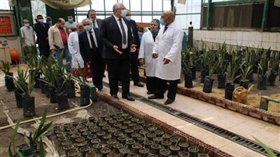 بالصور | وزير الزراعة يتفقد معمل أبحاث وتطوير النخيل ويوجه بزيادة إنتاج الشتلات
