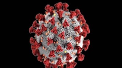 الصحة العالمية تعلن حصيلة وفيات كورونا الأسبوع الماضي