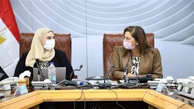 بالصور | وزيرة التخطيط ترأس اجتماع اللجنة الوزارية للمشروع القومي لتنمية الأسرة 