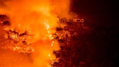 مصر تعزي الجزائر في ضحايا حرائق عدد من الولايات