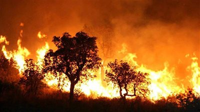 تونس : تُسجل أكثر من 150 حريقًا خلال 36 ساعة