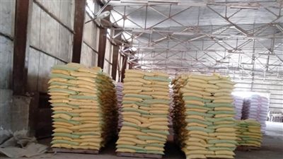 بالصور | استعدادا للموسم الشتوي.. محطات إنتاج وغربلة التقاوي تواصل عملها على مدار الساعة 