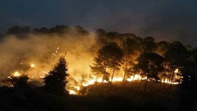 تراجع انتشار حرائق الغابات المحيطة بمدينة شفشاون شمال المغرب