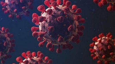 عاجل | تأجيل موعد بدء العام الدراسي المقبل تزامنا مع الموجة الرابعة لكورونا.. الحكومة ترد