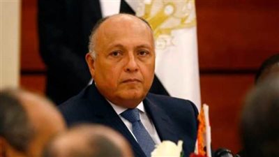 مصر تتدخل لحل أزمة قطع العلاقات بين الجزائر والمغرب 