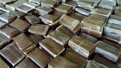 تجديد حبس عاطل بتهمة حيازة 24 كيلو حشيش قبل ترويجها على عملائه فى المرج