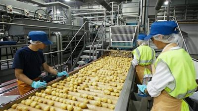 السعودية ترسل وفدًا لزيارة مصانع الأغذية المصرية ومناقشة تخفيف إجراءات الاستيراد