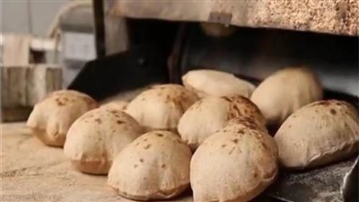 تغيير نظام صرف الخبز المدعم بالقاهرة الكبرى.. تعرف على التفاصيل 