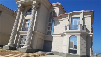 بالصور | مسئولو 