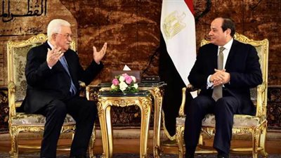 مساعد وزير الخارجية الأسبق: جهود مصر لا تتوقف لحل القضية الفلسطينية (فيديو)