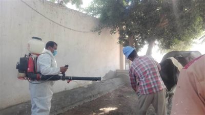 بيطري الشرقية : انطلاق قافلتين بيطريتين اليوم 