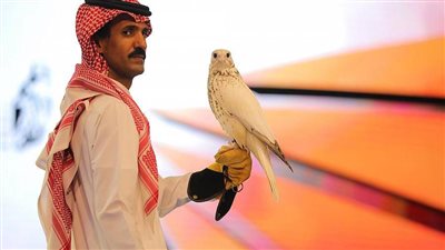 شاهد بالصور .. بيع أغلى صقر 