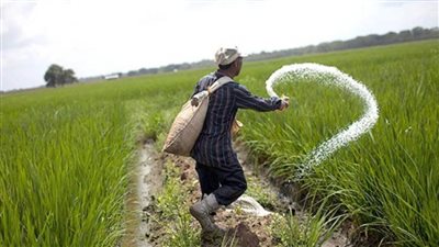 بالإنفوجراف | في عيده السنوي الـ 69.. الدولة تتوسع في تقديم كل سبل الدعم لتطوير حياة الفلاح المصري