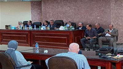 بالصور | بيع 4 محال تجارية وصيدلية بجلسة للمزاد العلني بـ