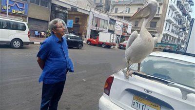 بالصور محمود سعد في زيارة لبورسعيد