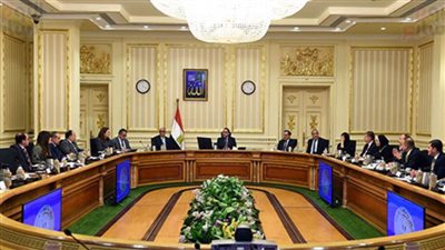 رئيس الوزراء يستعرض مقترحا لإنشاء مركز لتصنيع السيارات شرق بورسعيد
