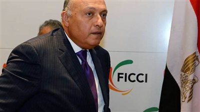 سامح شكري يلتقي وزير خارجية قبرص في نيويورك