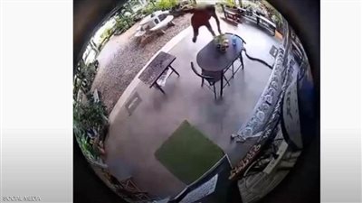 شاهد بالفيديو .. لحظة هجوم أفعي شرسة علي رجل في منزله