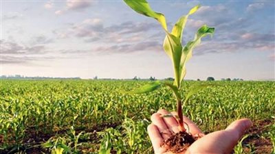 بالإنفوجراف | أنشطة مديريات الزراعة والطب البيطري خلال أسبوع 