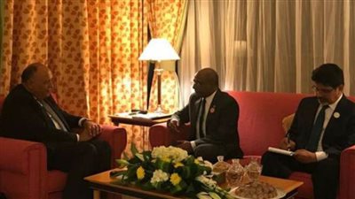 شكري يبحث مع نظيره المالديفي القضايا والموضوعات المُدرجة على أجندة الجمعية العامة