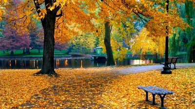 ملامح الطقس في فصل الخريف 