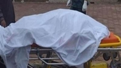 تفاصيل مقتل شخص على يد شقيقه داخل قطار بالمنوفية